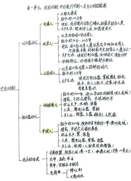 乍得人口：人口结构演变的探究