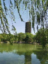 北大未名湖，探秘北大未名湖，感受校园美景