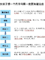 驾考全解析：通过驾驶执照考试的完全指南