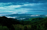 佘山国家森林公园：自然美景与人文历史的完美融合